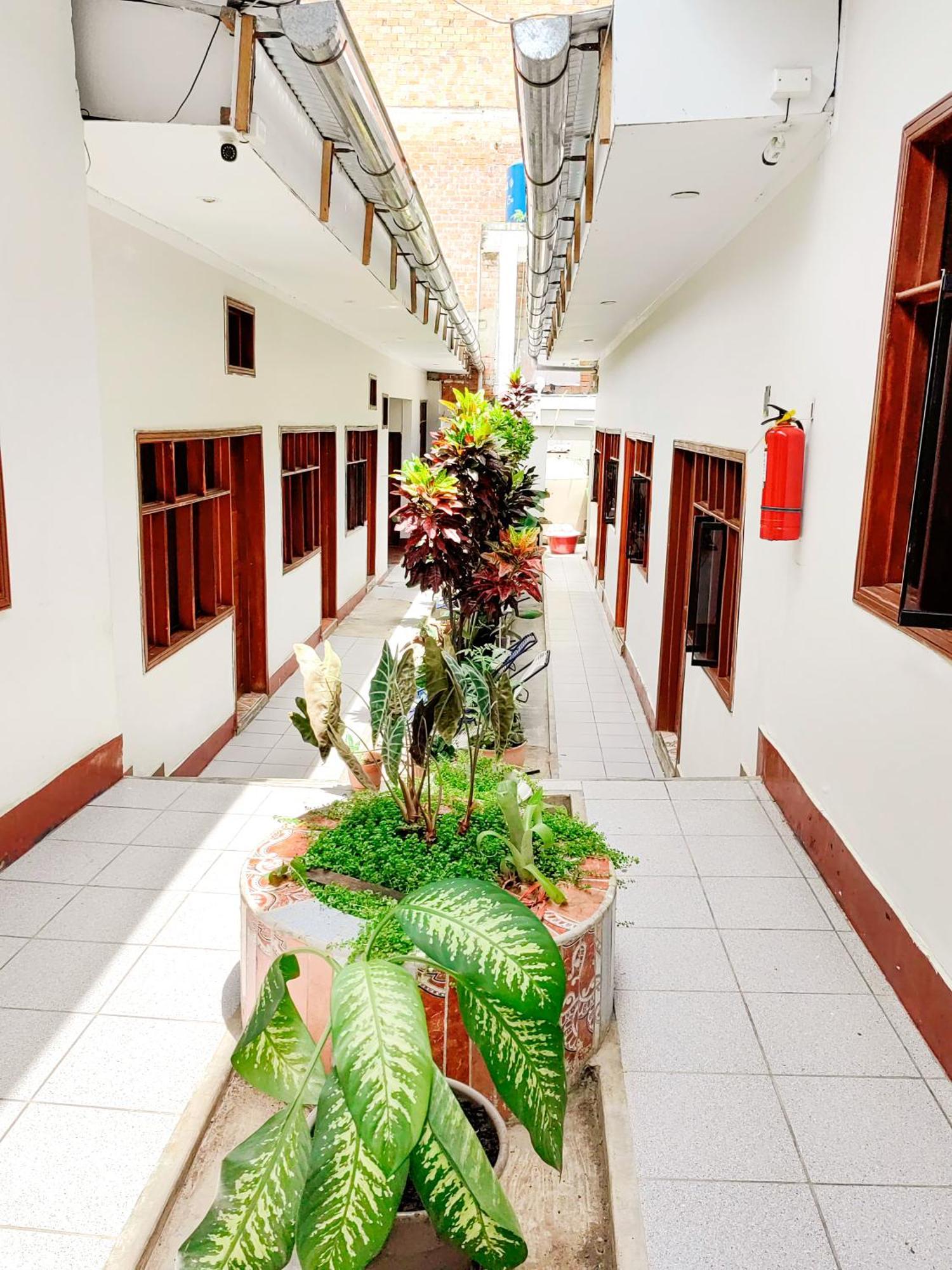 Tengana Hospedaje Y Tours Tarapoto Eksteriør bilde